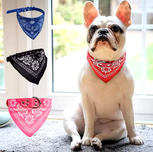 Bandanas Toutes tailles pour chien et chats