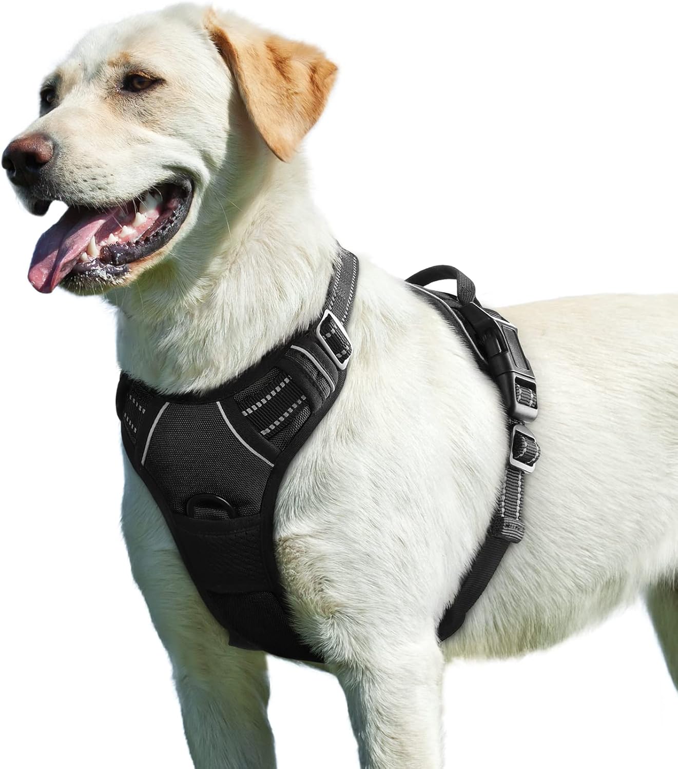 Harnais Renforcé Waterproof pour Chien - Tous Gabarits