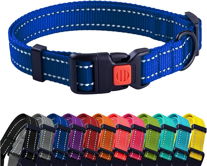 Collier de couleurs pour chiens Taille S/M/L/XL