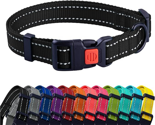 Collier de couleurs pour chiens Taille S/M/L/XL