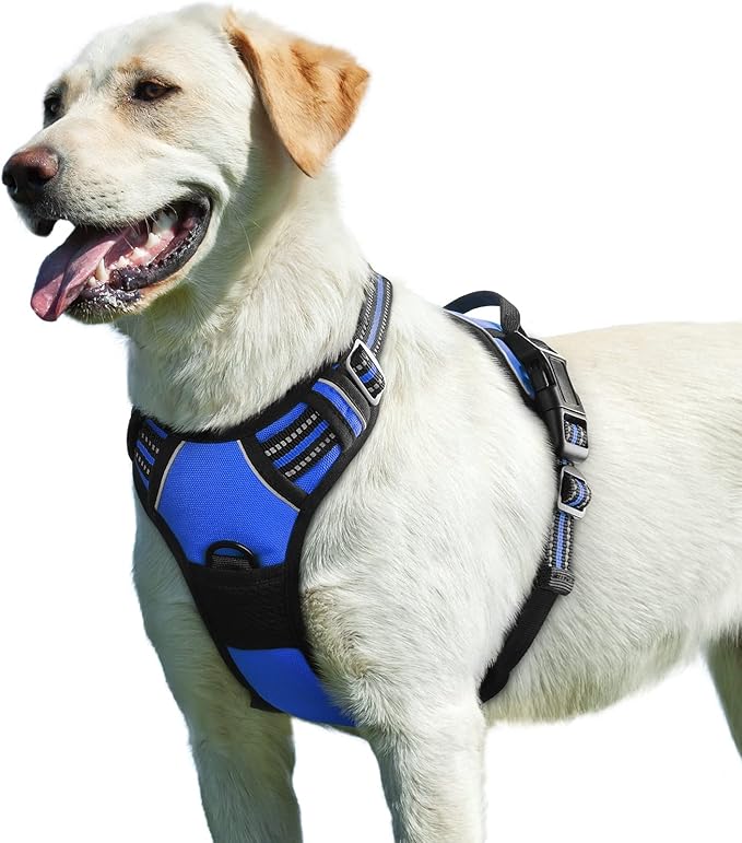 Harnais Renforcé Waterproof pour Chien - Tous Gabarits