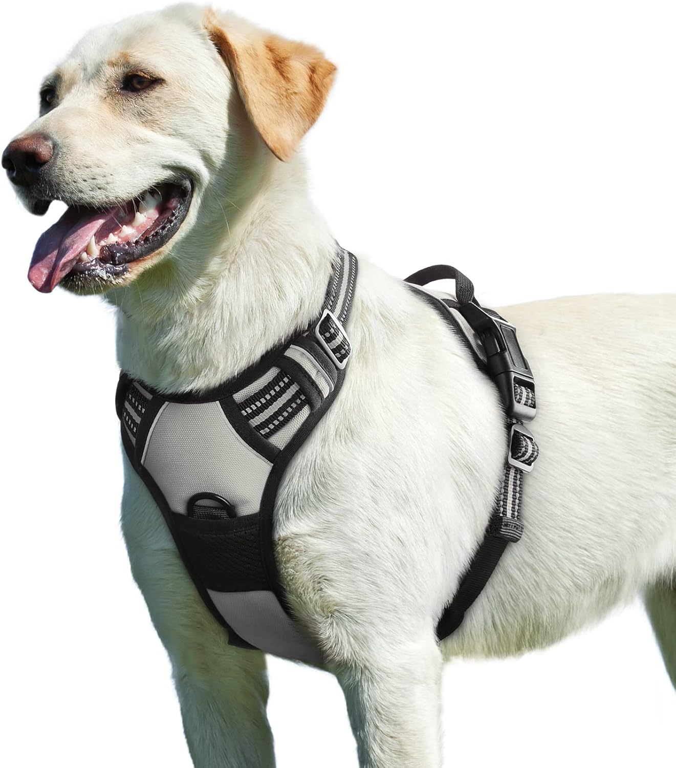 Harnais Renforcé Waterproof pour Chien - Tous Gabarits