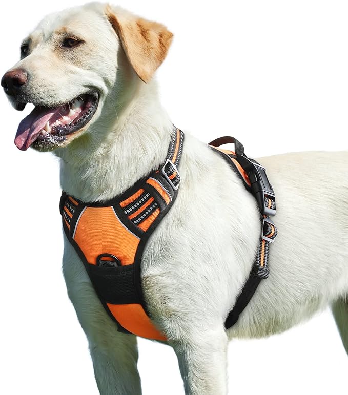 Harnais Renforcé Waterproof pour Chien - Tous Gabarits