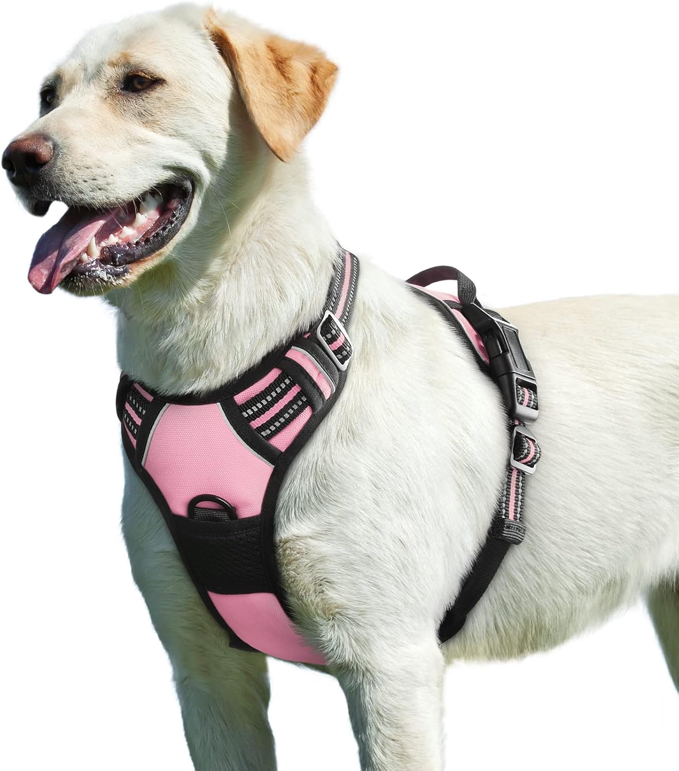 Harnais Renforcé Waterproof pour Chien - Tous Gabarits