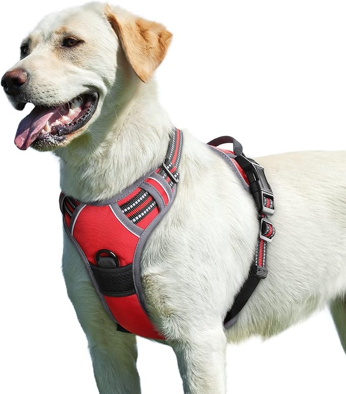 Harnais Renforcé Waterproof pour Chien - Tous Gabarits