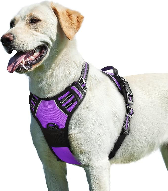 Harnais Renforcé Waterproof pour Chien - Tous Gabarits