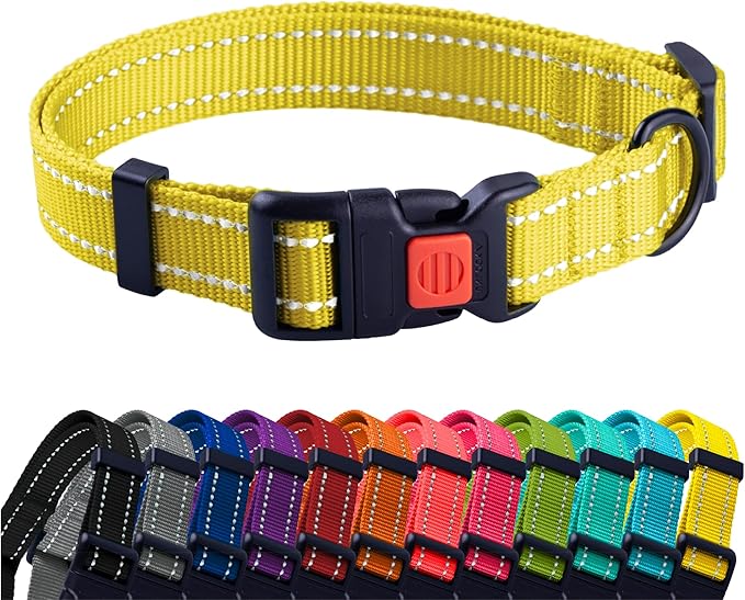 Collier de couleurs pour chiens Taille S/M/L/XL