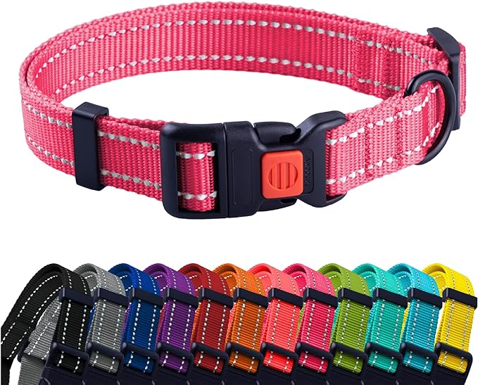 Collier de couleurs pour chiens Taille S/M/L/XL