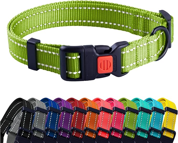 Collier de couleurs pour chiens Taille S/M/L/XL