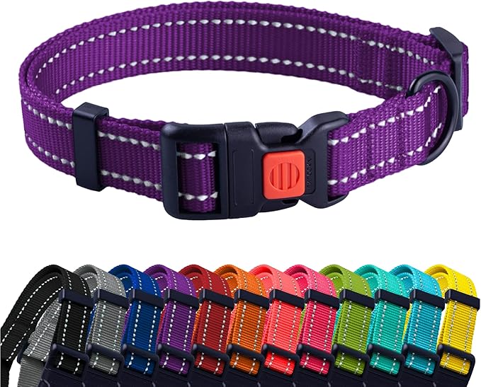 Collier de couleurs pour chiens Taille S/M/L/XL